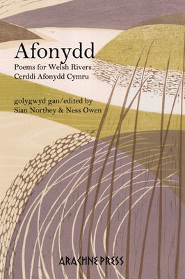 Afonydd