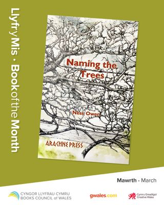 Naming the Trees by Ness Owen