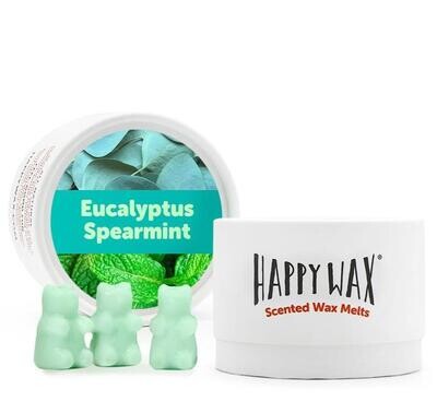 Melts Tin Eucalyptus Spearmint