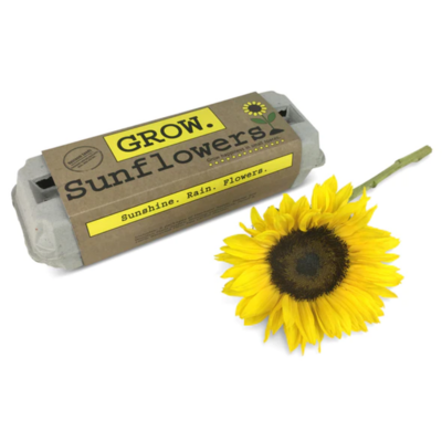 Garden Kit Grow Sunflower