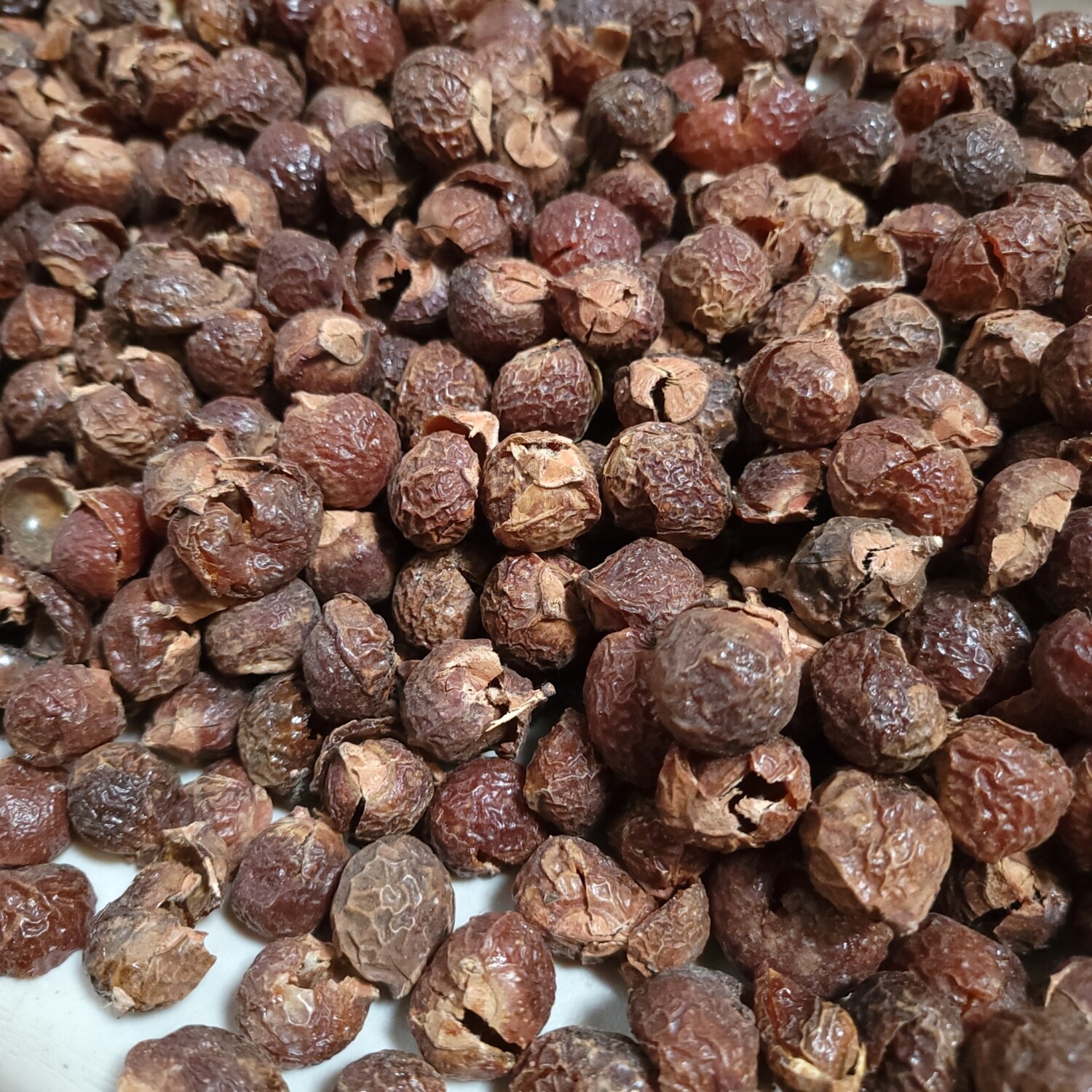 Soap Nuts "BULK" - 10lb. (160oz)