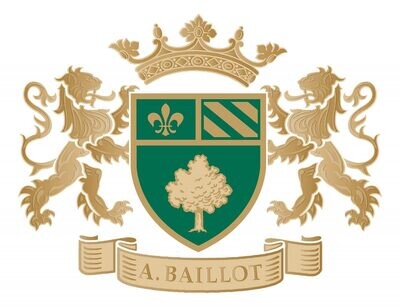 Arnaud Baillot