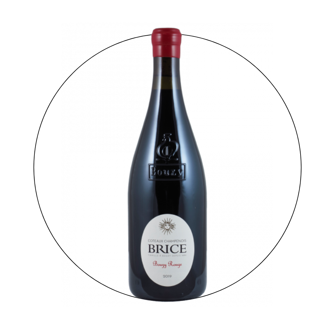 Champagne Brice - Bouzy Coteaux Champenois Rouge 2019