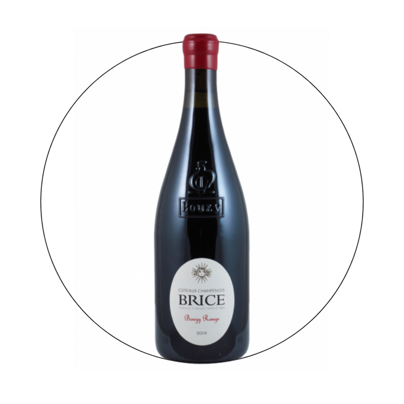 Champagne Brice - Bouzy Coteaux Champenois Rouge 2019