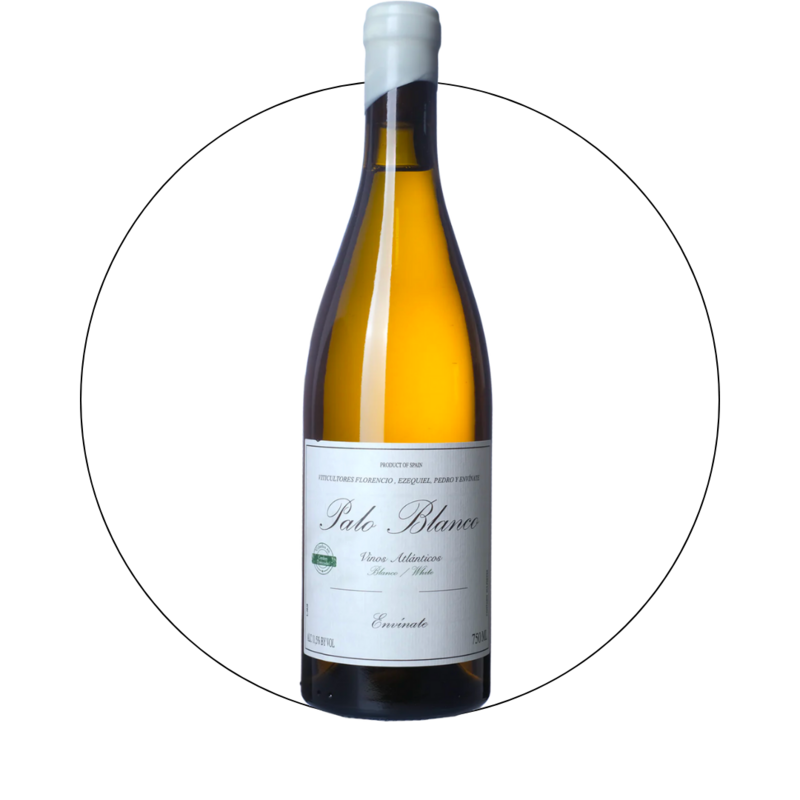 Envinate - Palo Blanco 2021 Magnum