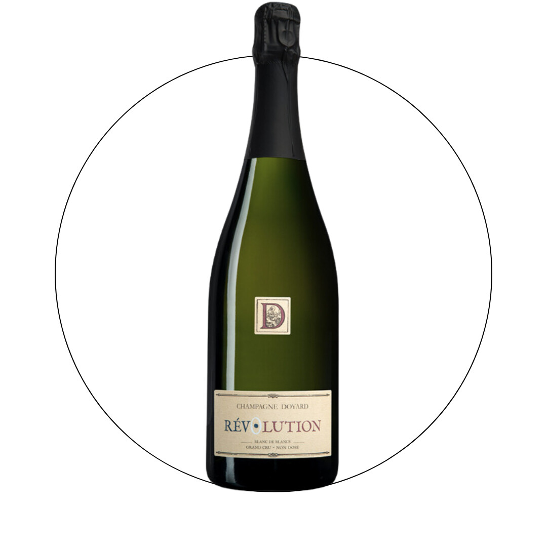 Champagne Doyard Cuvee Revolution Non Dose Magnum