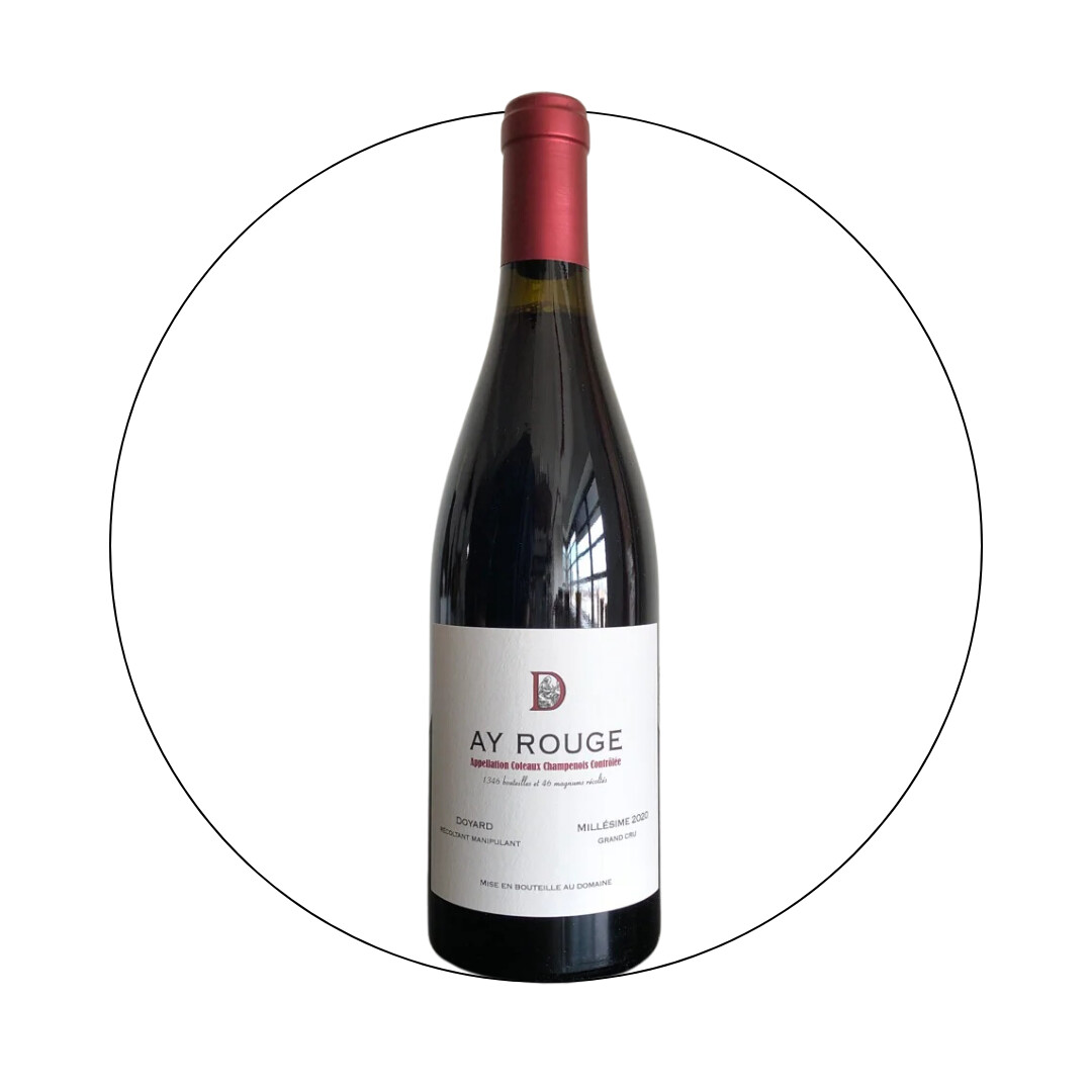 Champagne Doyard Coteaux Champenois Rouge &quot;Ay&quot; 2020