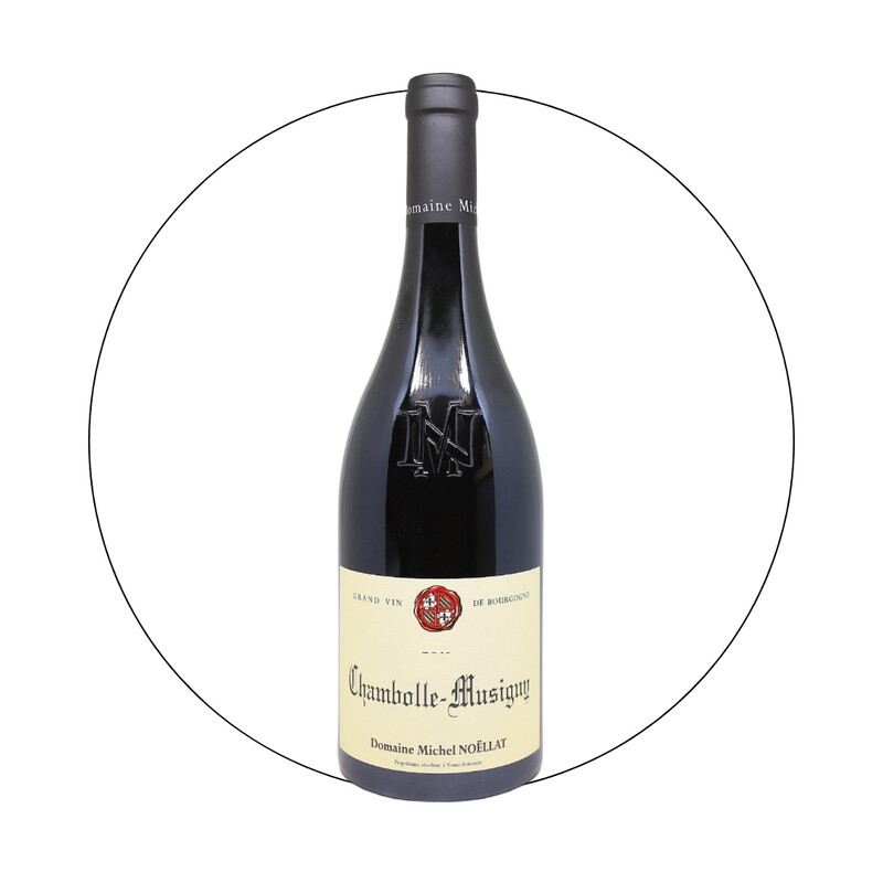 Michel Noellat - Chambolle Musigny 2021