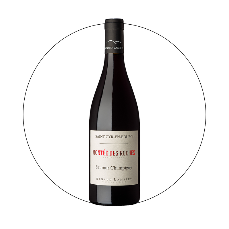 Arnaud Lambert - Saumur Champigny Rouge Montee des Roches 2020
