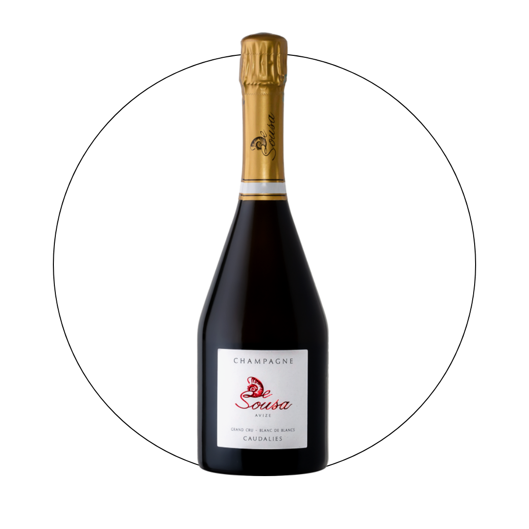 Champagne De Sousa - Cuvee Des Caudalies 2010