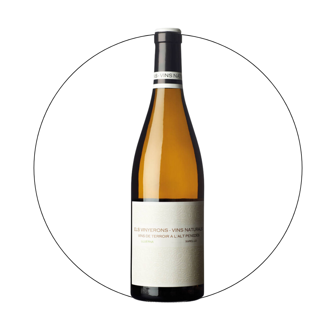 Els Vinyerons - Lluerna 2022