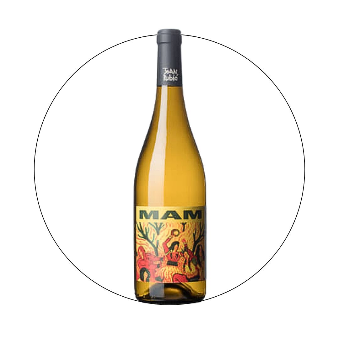 Tiques - Mam 2023