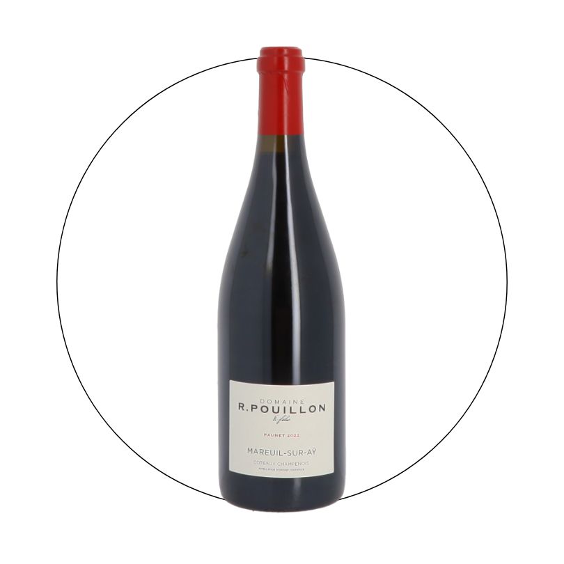 Fabrice Pouillon - Coteaux Champenois Rouge 2020
