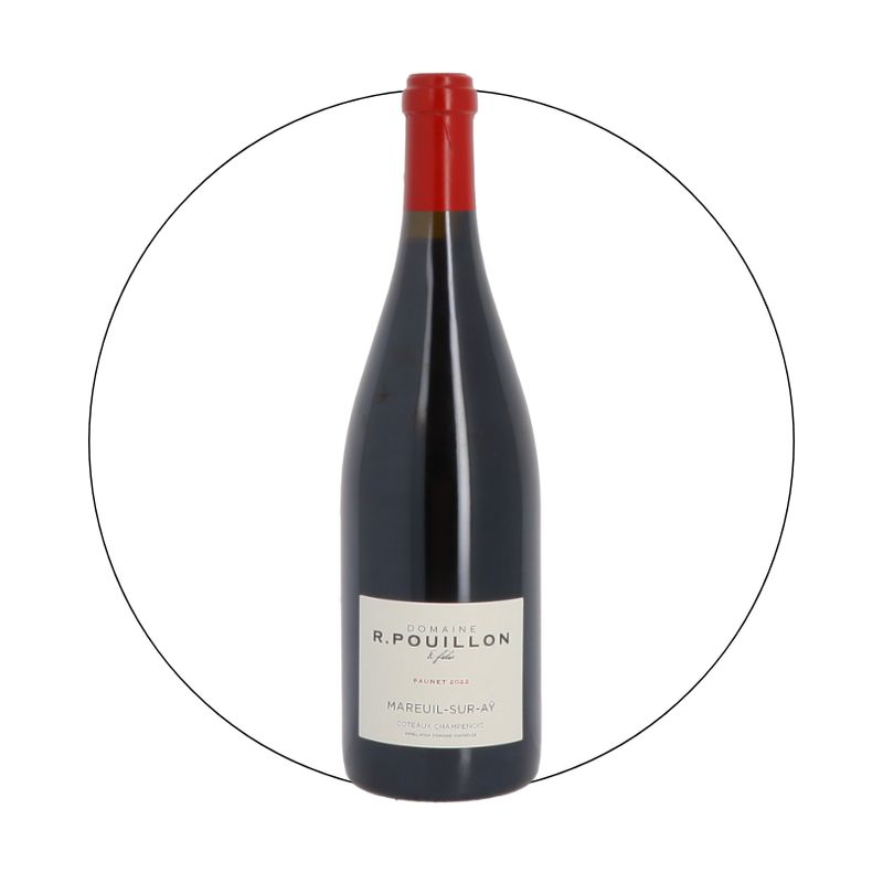 Fabrice Pouillon - Coteaux Champenois Rouge 2020