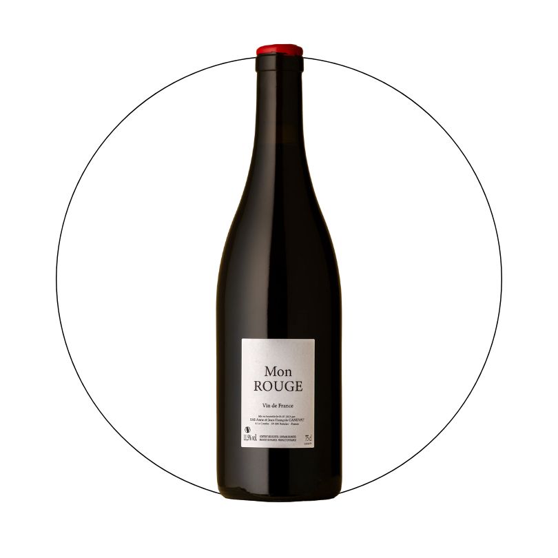 Anne &amp; Jean Francois Ganevat - Cotes du Jura Pinot Mon Rouge
