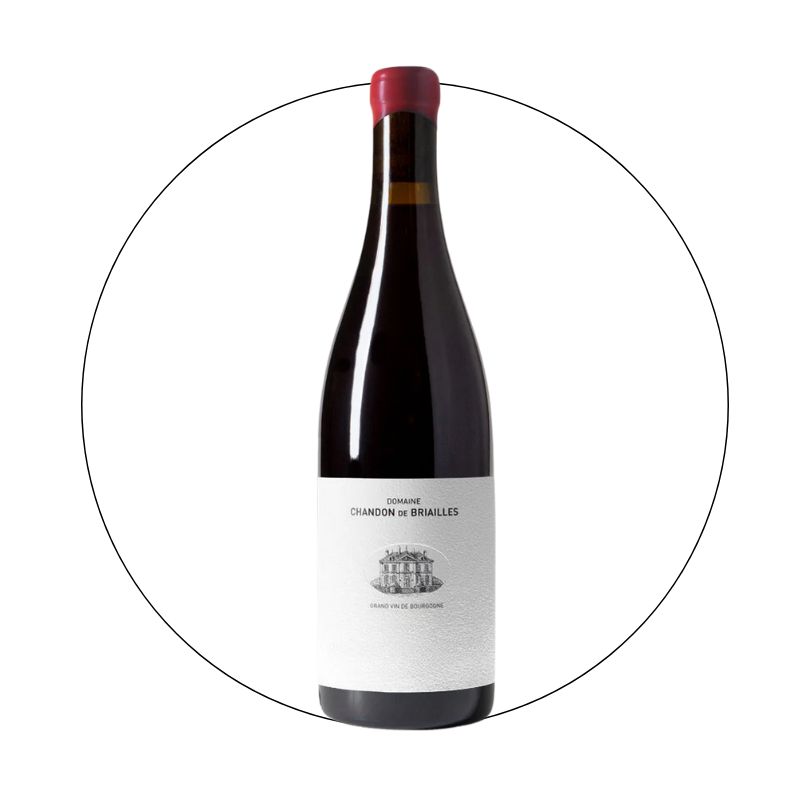 Chandon de Briailles - Corton Grand Cru Les Bressandes 2021