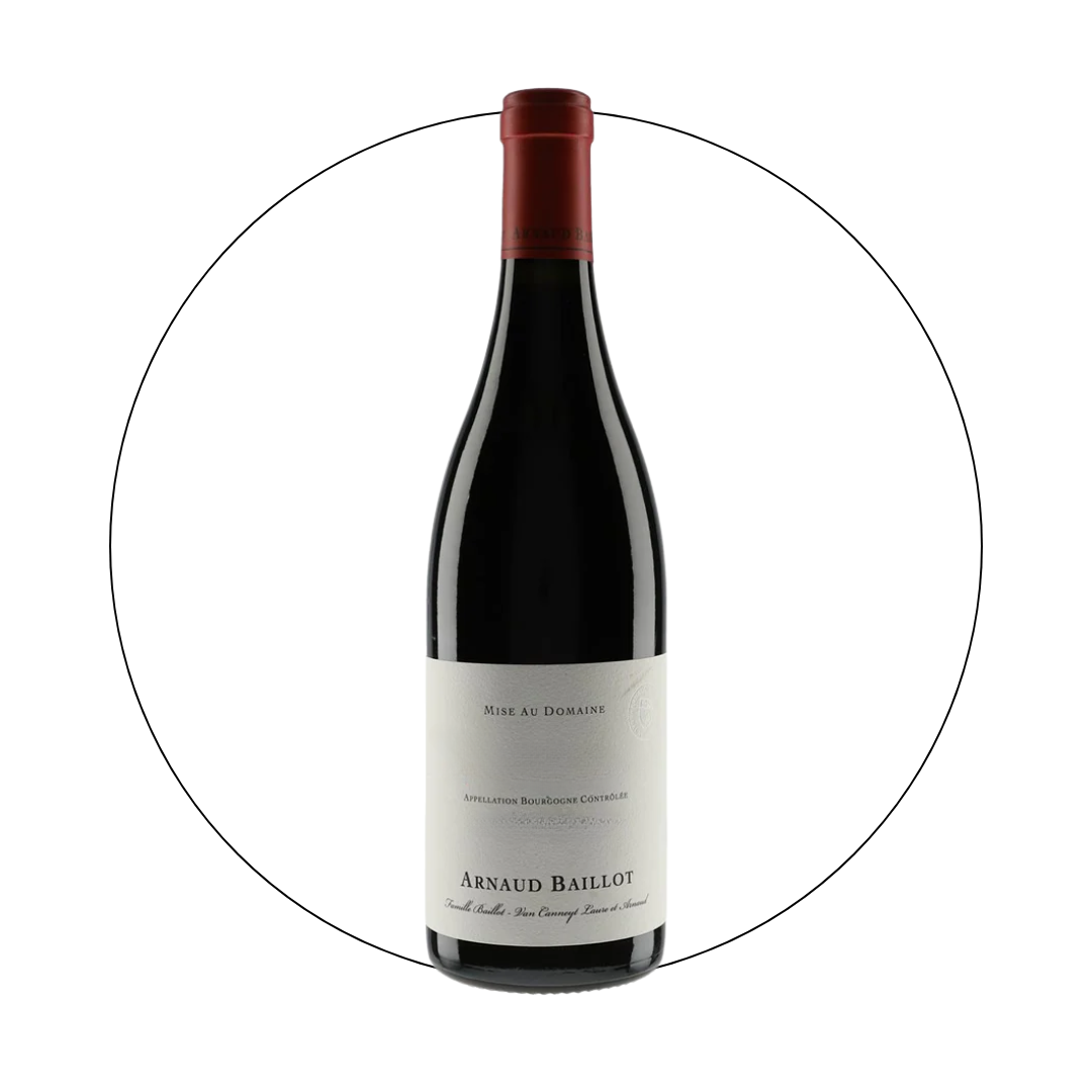 Arnaud Baillot - Puligny Montrachet 1er Cru Les Folatieres Blanc 2020