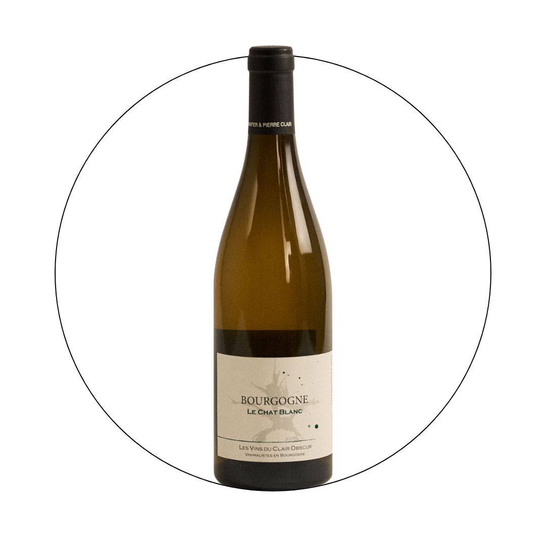Les Vins du Clair Obscur - Bourgogne Blanc Le Chat 2020