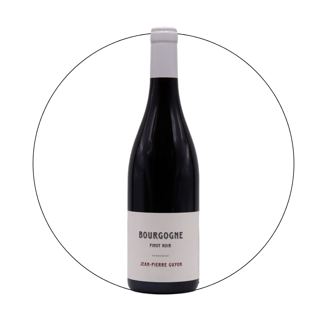 Jean Pierre Guyon - Bourgogne Pinot Noir 2022