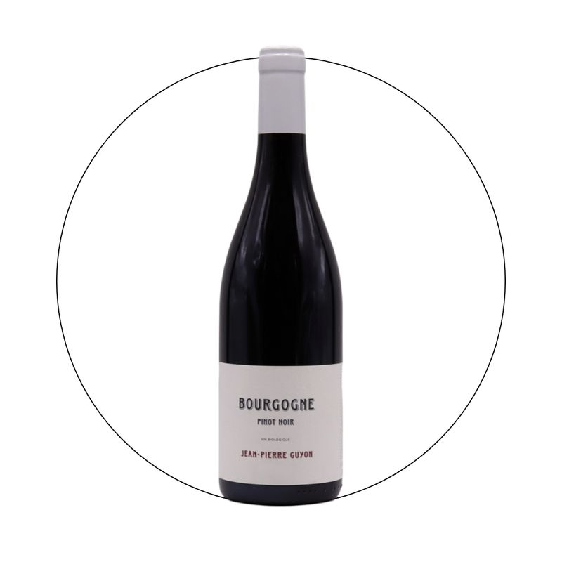 Jean Pierre Guyon - Bourgogne Pinot Noir 2022