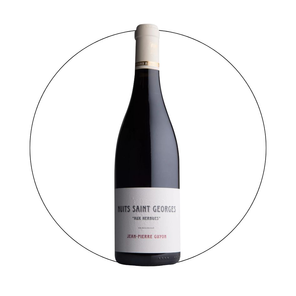 Jean Pierre Guyon - Nuits Saint Georges Aux Herbues 2022