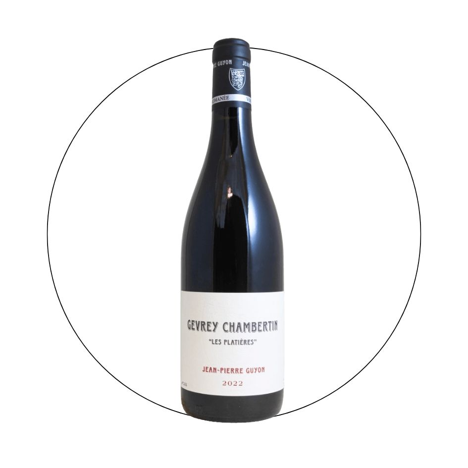 Jean Pierre Guyon - Gevrey Chambertin Les Platieres 2022