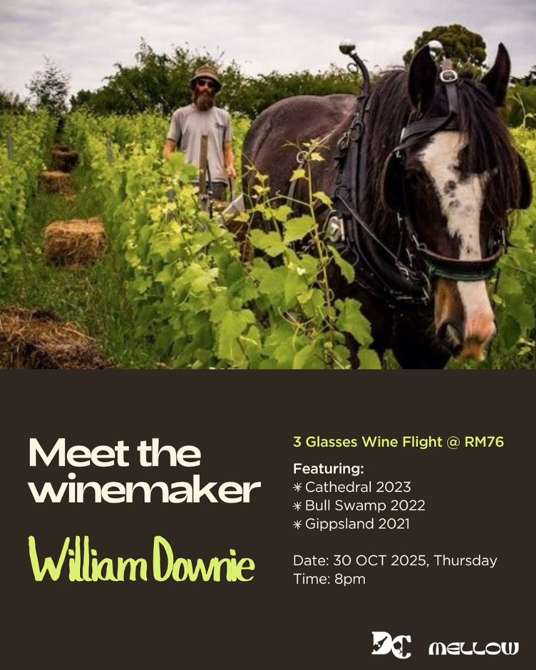 [Event] 3-Glasses William Downie Pinot Noir Flight @Mellow