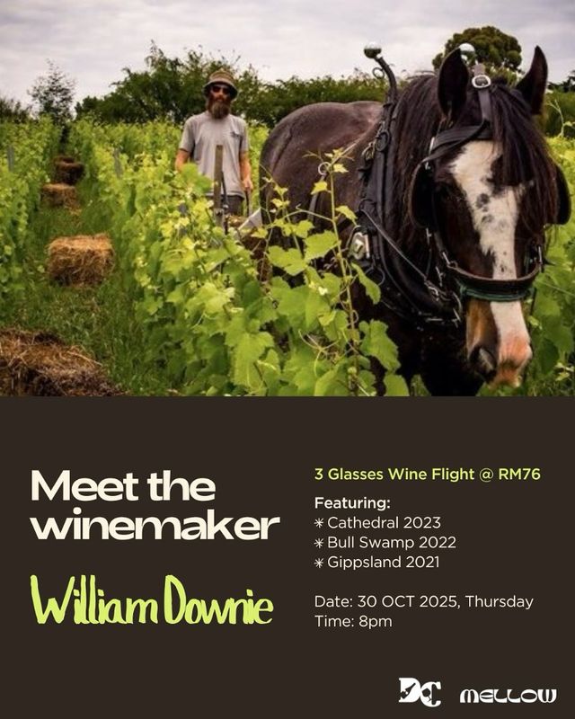 [Event] 3-Glasses William Downie Pinot Noir Flight @Mellow