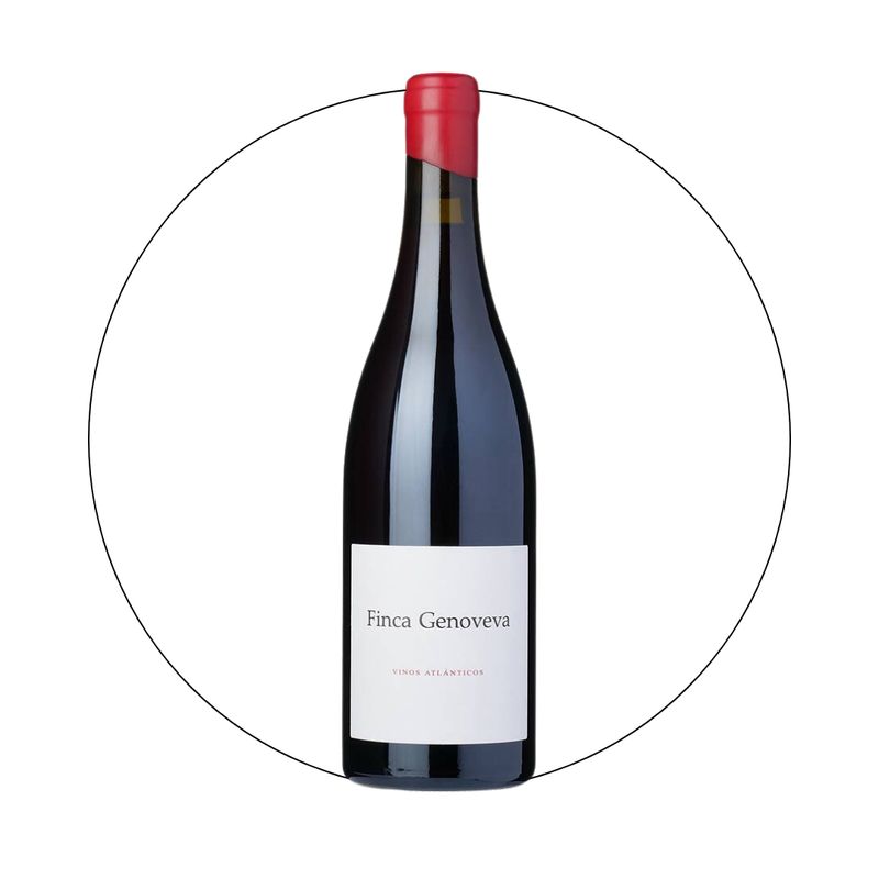 Bodegas Forjas del Salnes - Finca Genoveva Caino 2019