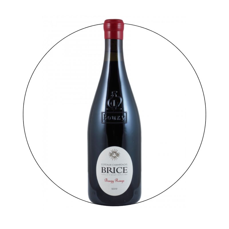 Champagne Brice - Bouzy Coteaux Champenois Rouge 2019