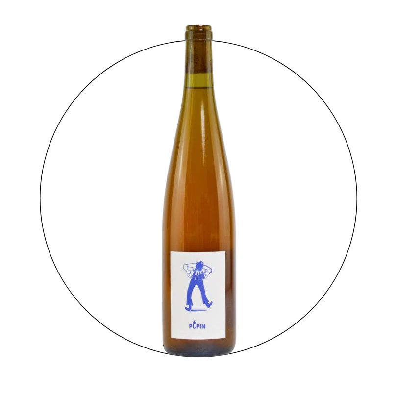 Achillee - Pepin Orange