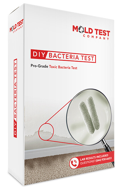DIY Bacteria Test Kit - Store 