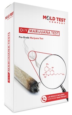 DIY Marijuana Test Kit