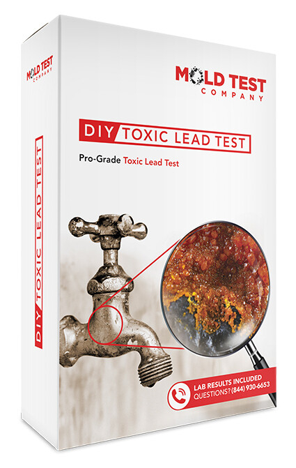 DIY Toxic Lead Test Kit