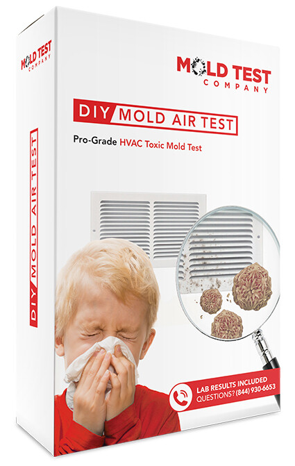 DIY Mold Test Kit