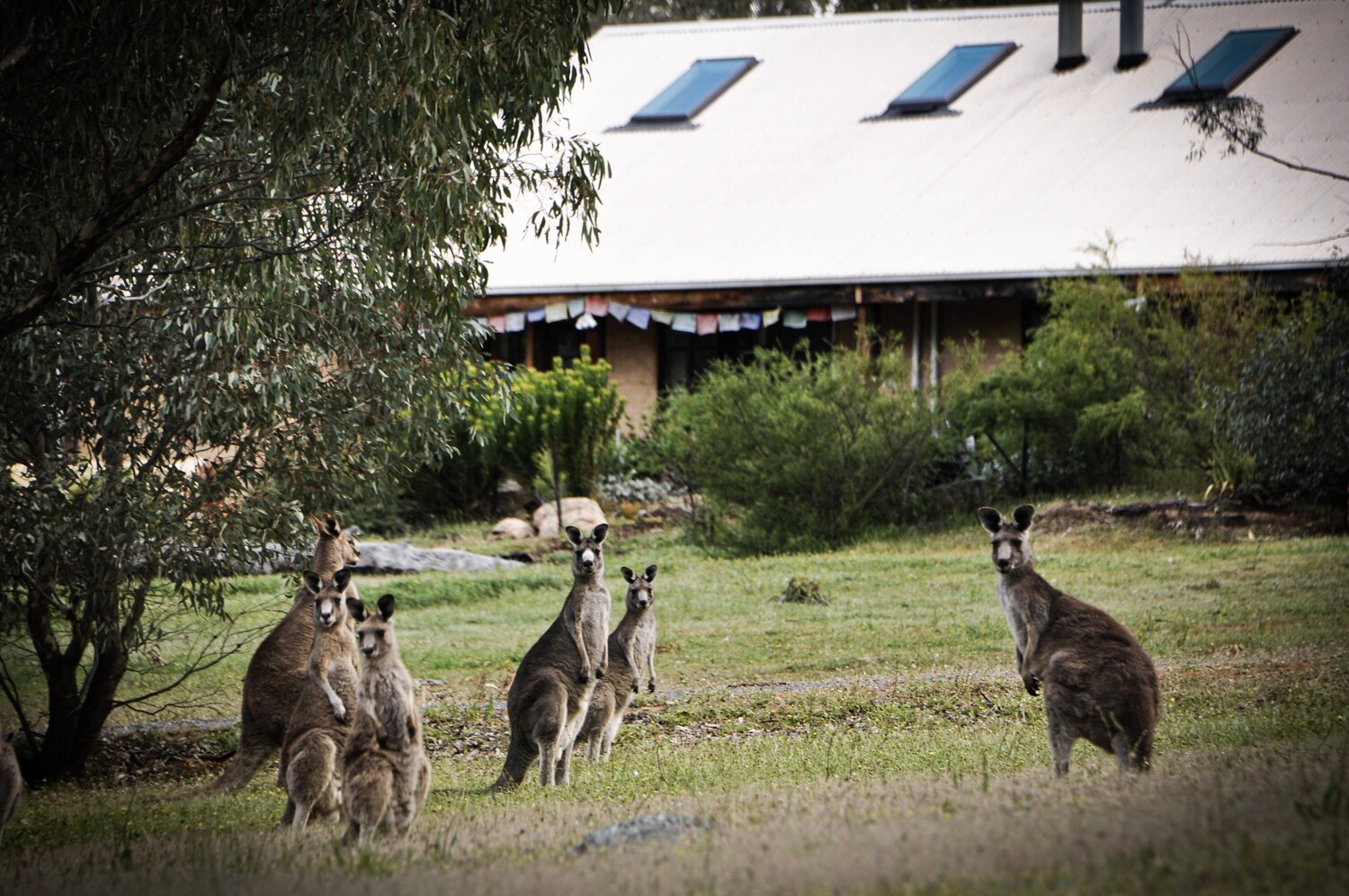 Soul Retreat - 2nd to 6th December 2026 Soul Retreat - 2nd to 6th December 2026