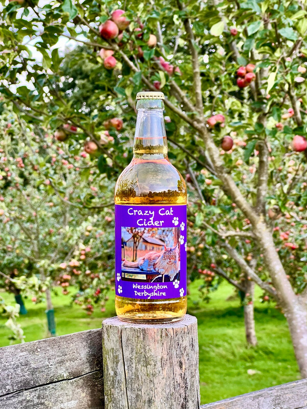 Crazy Cat Cider