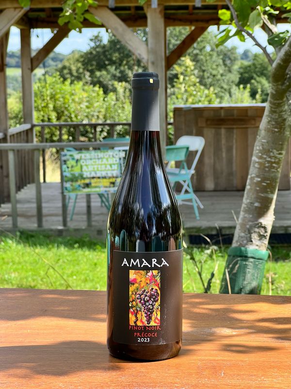 Amara Pinot Noir Précoce 2023* Amara Pinot Noir Précoce 2023*