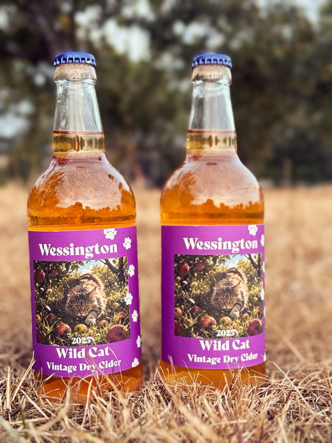 Wessington Wild Cat 2025 Vintage Cider Case Of 12 500ml Bottles