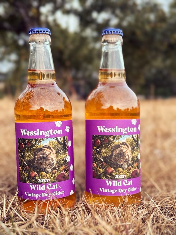 Wessington Wild Cat 2025 Vintage Cider Case Of 12 500ml Bottles