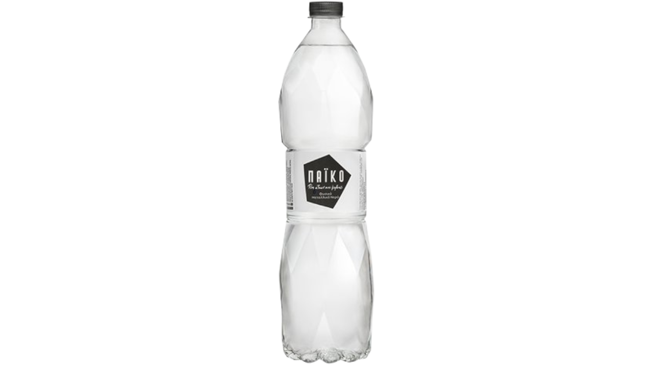 Agua mineral 1L