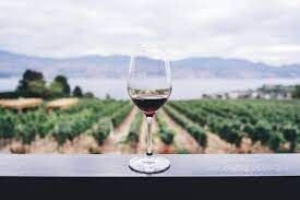Vinos Griegos