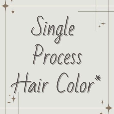 Single Process Hair Color*