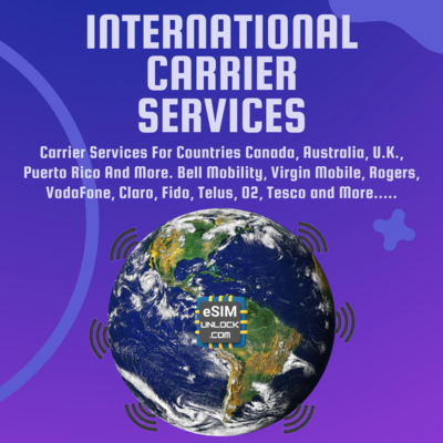 INTERNATIONAL CARRIER SERVICES