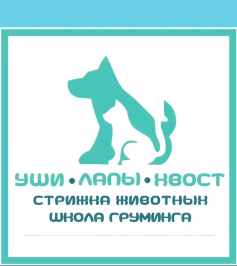 Уши, лапы и хвосты. Ветклиника уши лапы хвост. Ухо хвост отрадный. Уши лапы хвост шаблон. Усы лапы хвост отрадный.
