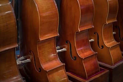 Cello Rental