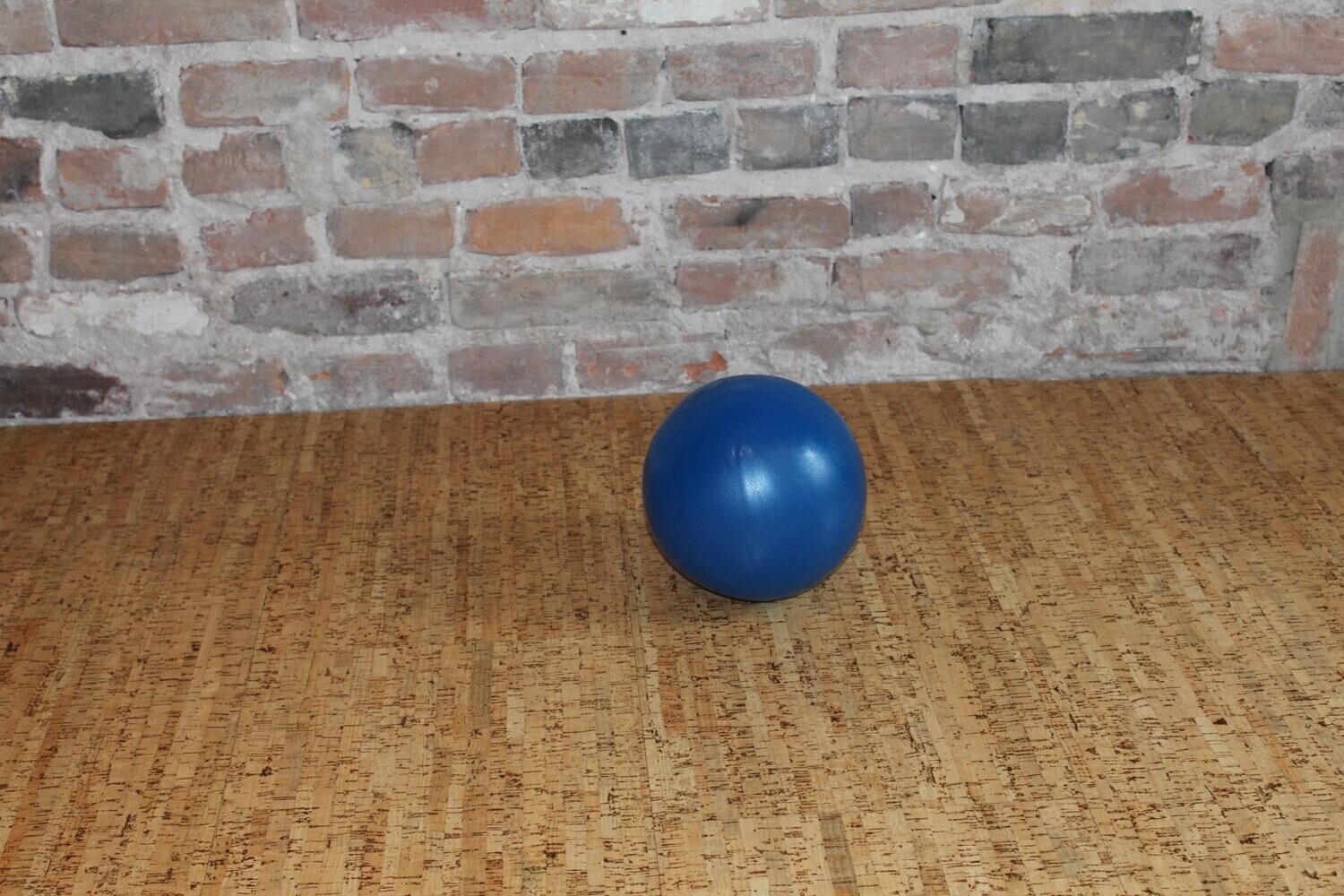 Pilates Ball