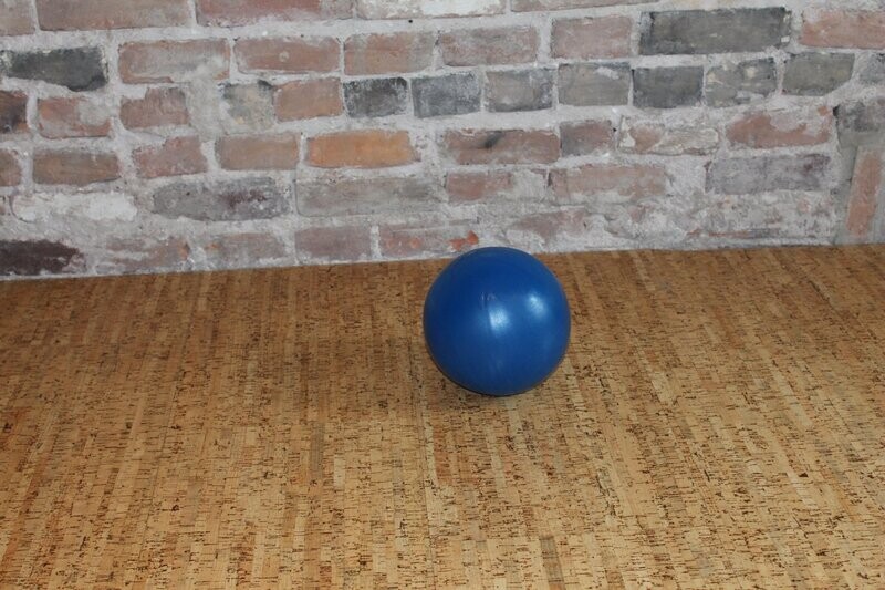 Pilates Ball