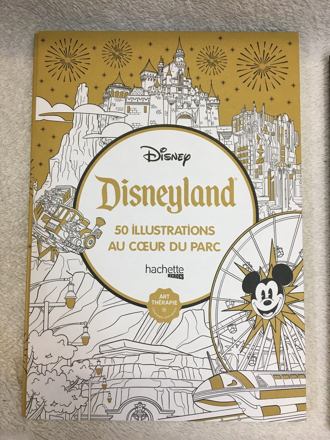 Kleurboek Disneyland