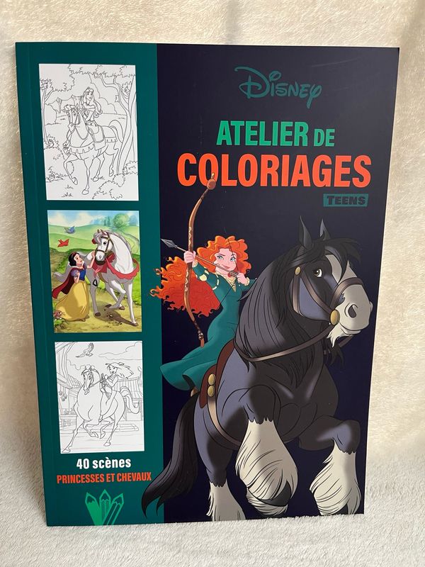 Kleurboek 40 scenes Princesses et chevaux